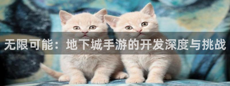 巅峰国际登陆：无限可能：地下城手游的开发深度与挑战