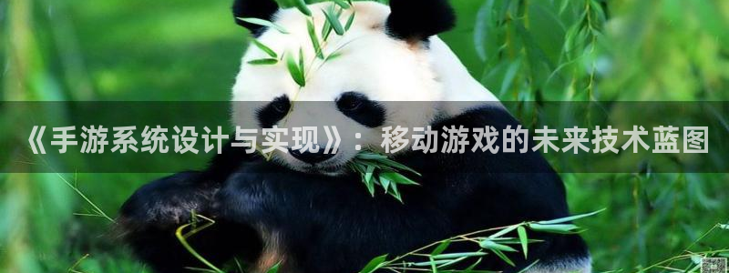 巅峰国际下载