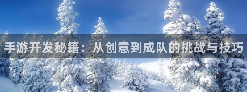 巅峰国际官网