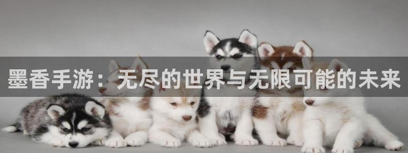 巅峰国际登陆：墨香手游：无尽的世界与无限可能的未来
