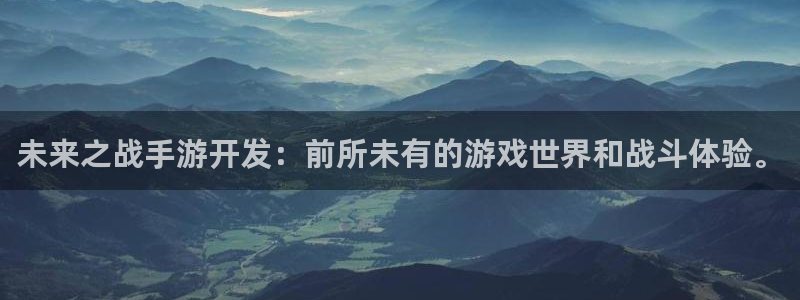 巅峰国际平台