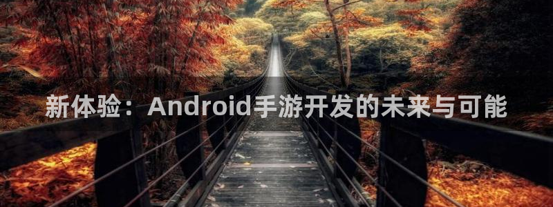 巅峰国际下载：新体验：Android手游开发的未来与可能