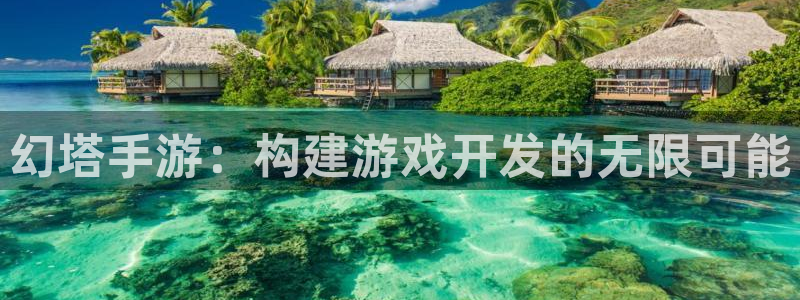 巅峰国际app