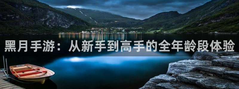 巅峰国际平台