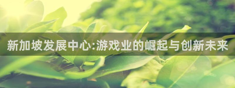 巅峰国际注册：新加坡发展中心:游戏业的崛起与创新未来