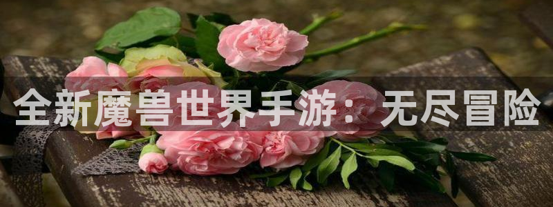 巅峰国际首页：全新魔兽世界手游：无尽冒险
