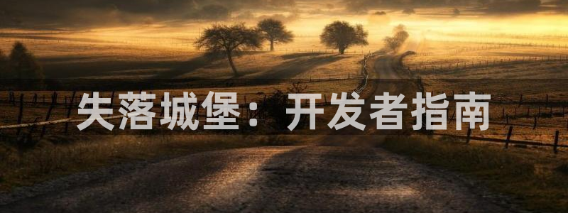 巅峰国际app：失落城堡：开发者指南