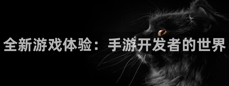 巅峰国际：全新游戏体验：手游开发者的世界