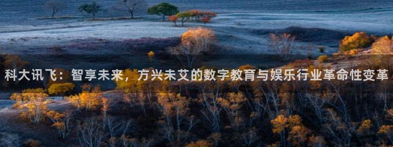 巅峰国际首页：科大讯飞：智享未来，方兴未艾的数字教育与娱乐行