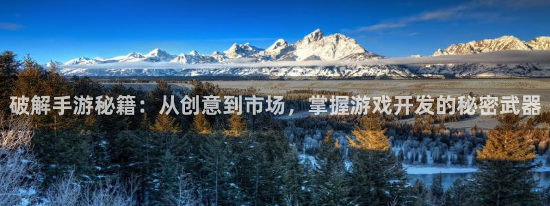 巅峰国际平台：破解手游秘籍：从创意到市场，掌握游戏开发的秘密