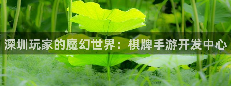 巅峰国际：深圳玩家的魔幻世界：棋牌手游开发中心
