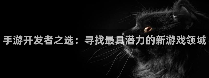 巅峰国际：手游开发者之选：寻找最具潜力的新游戏领域