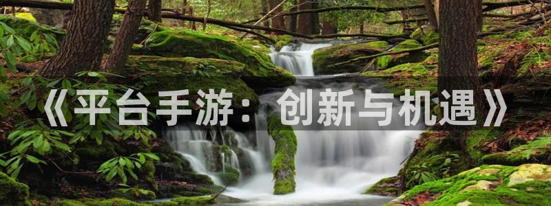 巅峰国际：《平台手游：创新与机遇》