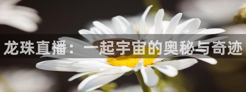 新球体育app：龙珠直播：一起宇宙的奥秘与奇迹