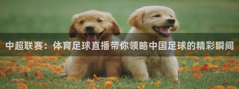 新球网直播：中超联赛：体育足球直播带你领略中国足球的精彩瞬间