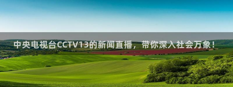 新球直播：中央电视台CCTV13的新闻直播，带你深入社会万象！