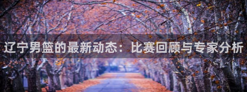新球足球：辽宁男篮的最新动态：比赛回顾与专家分析