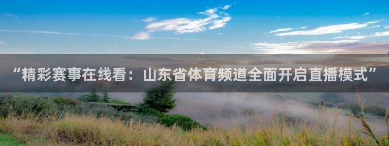 新球体育完整版：“精彩赛事在线看：山东省体育频道全面开启直播模式”