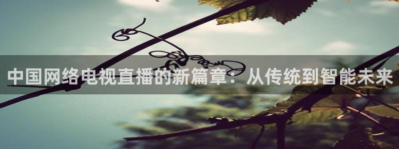 新球体育网球比分：中国网络电视直播的新篇章：从传统到智能未来